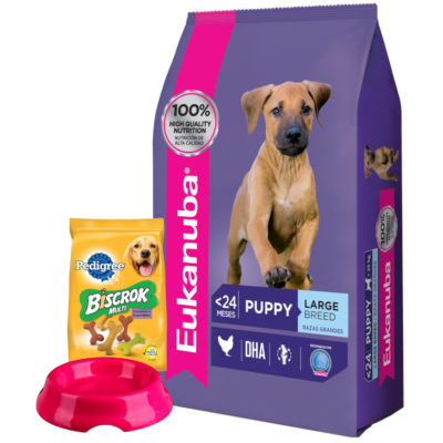 2Eukanuba Cachorro Grande Biscrok Comedero