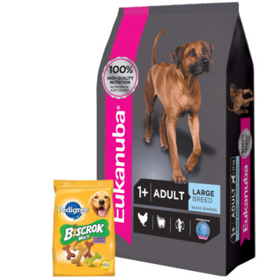 2Eukanuba Adulto Grande Biscrok