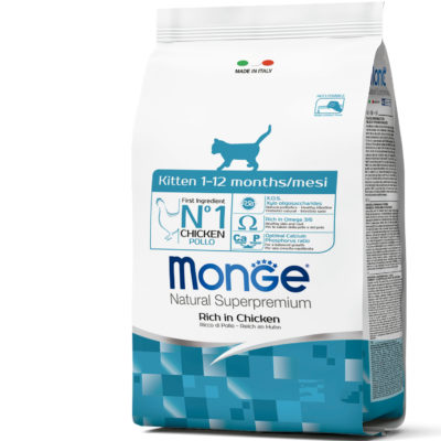 2Monge Gato Kitten