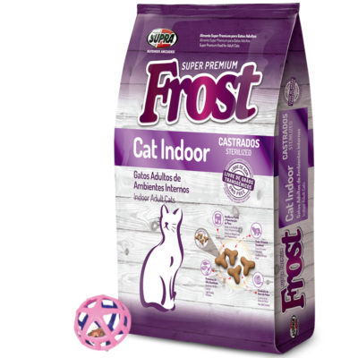 3Frost-Cat-Indoor-Juguete