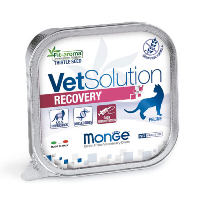 2Pate Vet Solution Gato Recovery