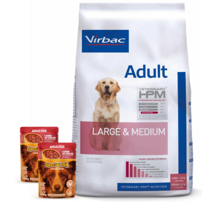 HPM Adulto Large Medium 2 Pate