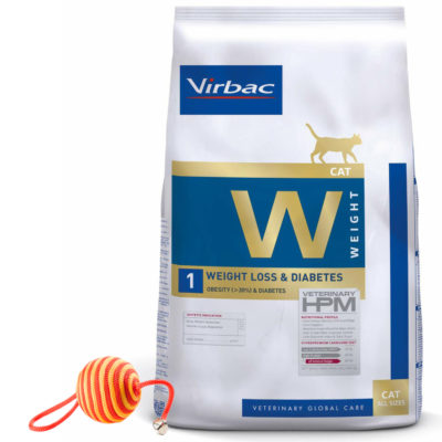2Gato Weight Loss Diabetes Juguete