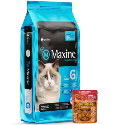2Maxine Gato 1 pate
