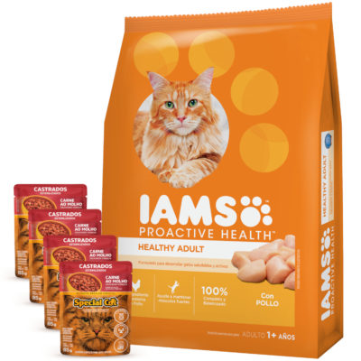 Iams Gato Adulto 4 Pate