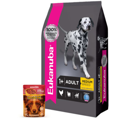 2Eukanuba Adulto Mediano 1 Pate