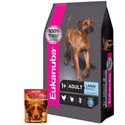 2Eukanuba Adulto Grande 1 Pate