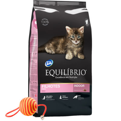 2Equilibrio-Gato-Kitten-1-Pate