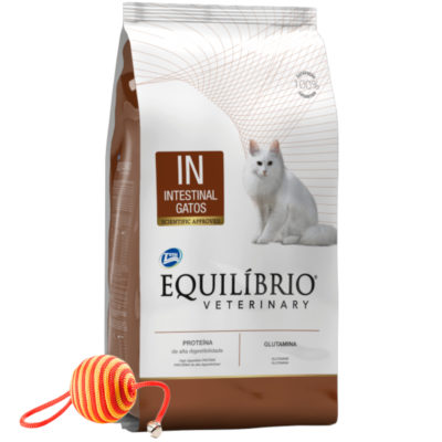 Equilibrio-Gato-Intestinal-Juguete