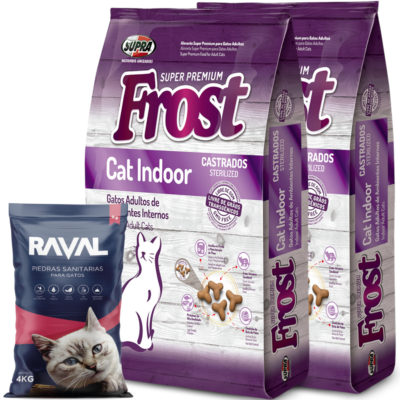 2Frost-Cat-Indoor-2-Raval