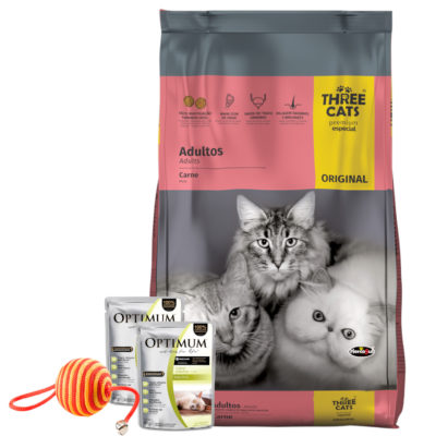 TC-FO-Gato-Adulto-2-Pate-Juguete